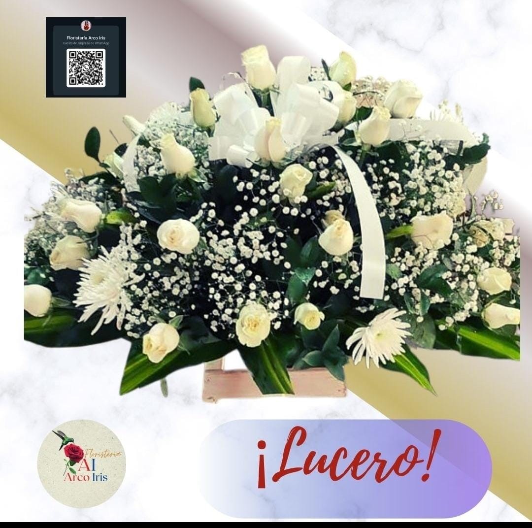 Lucero
